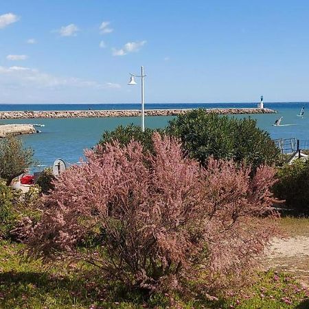T3 Carnon, 1ère ligne 50m plage terrasse parking Mauguio Extérieur photo